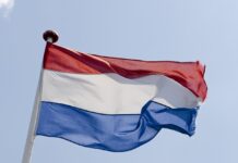 Online Nederlandse vlag en fairybell kopen