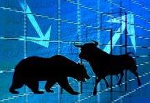 Belangrijke weetjes over de bull en bear market
